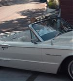 ELBR1076.jpg