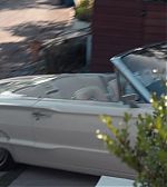 ELBR1078.jpg