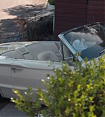 ELBR1080.jpg