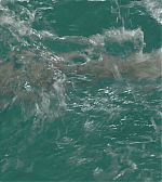 ELBR0256.jpg