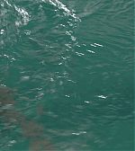 ELBR0258.jpg