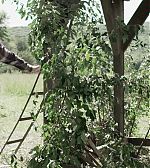 ELBR0678.jpg