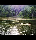 Filename=ELBR106.jpg
Filesize=863KiB
Dimensions=1920x1080
Date added=Jun 03, 2018 ELBR106.jpg