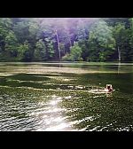 Filename=ELBR107.jpg
Filesize=901KiB
Dimensions=1920x1080
Date added=Jun 03, 2018 ELBR107.jpg