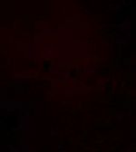 Filename=ELBR019.jpg
Filesize=6KiB
Dimensions=1280x720
Date added=Jul 07, 2016 ELBR019.jpg