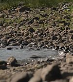 Filename=ELBR327.jpg
Filesize=153KiB
Dimensions=1920x1080
Date added=Jul 16, 2016 ELBR327.jpg