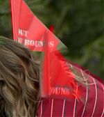 Filename=ELBR126.jpg
Filesize=55KiB
Dimensions=1920x1080
Date added=Aug 14, 2016 ELBR126.jpg