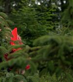 Filename=ELBR131.jpg
Filesize=77KiB
Dimensions=1920x1080
Date added=Aug 14, 2016 ELBR131.jpg