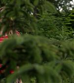 Filename=ELBR141.jpg
Filesize=71KiB
Dimensions=1920x1080
Date added=Aug 14, 2016 ELBR141.jpg