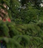 Filename=ELBR144.jpg
Filesize=76KiB
Dimensions=1920x1080
Date added=Aug 14, 2016 ELBR144.jpg