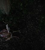 Filename=ELBR698.jpg
Filesize=35KiB
Dimensions=1280x720
Date added=Aug 28, 2016 ELBR698.jpg