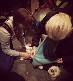 Filename=10727386_1541709072714148_1295601449_n.jpg
Filesize=84KiB
Dimensions=640x640
Date added=Nov 25, 2014 10727386_1541709072714148_1295601449_n.jpg