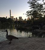 Filename=12142553_477620752418319_1077715830_n.jpg
Filesize=166KiB
Dimensions=1080x1080
Date added=Oct 13, 2015 12142553_477620752418319_1077715830_n.jpg