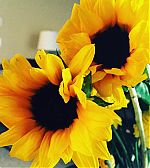 Filename=1389523_1716288721945669_1172579892_n.jpg
Filesize=113KiB
Dimensions=1080x1080
Date added=Mar 26, 2016 1389523_1716288721945669_1172579892_n.jpg