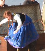 Filename=15166952494_0461762573_o.jpg
Filesize=383KiB
Dimensions=1500x1125
Date added=Nov 25, 2014 15166952494_0461762573_o.jpg