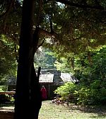 Filename=ELBR29_286429.jpg
Filesize=295KiB
Dimensions=1920x1080
Date added=Dec 07, 2014 ELBR29_286429.jpg