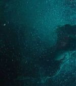 Filename=ELBR_281229~10.jpg
Filesize=30KiB
Dimensions=1280x720
Date added=May 26, 2016 ELBR_281229~10.jpg