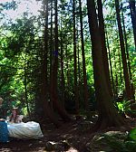 Filename=ELBR_2812729~2.jpg
Filesize=579KiB
Dimensions=1920x1080
Date added=Dec 06, 2014 ELBR_2812729~2.jpg