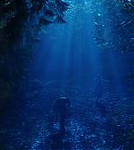 Filename=ELBR__2810529.jpg
Filesize=183KiB
Dimensions=1920x1080
Date added=Jan 21, 2015 ELBR__2810529.jpg