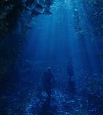 Filename=ELBR__2810629.jpg
Filesize=192KiB
Dimensions=1920x1080
Date added=Jan 21, 2015 ELBR__2810629.jpg