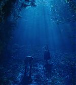 Filename=ELBR__2810829.jpg
Filesize=186KiB
Dimensions=1920x1080
Date added=Jan 21, 2015 ELBR__2810829.jpg