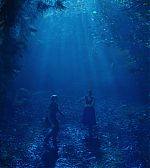 Filename=ELBR__2811029.jpg
Filesize=201KiB
Dimensions=1920x1080
Date added=Jan 21, 2015 ELBR__2811029.jpg