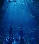 Filename=ELBR__2811229.jpg
Filesize=195KiB
Dimensions=1920x1080
Date added=Jan 21, 2015 ELBR__2811229.jpg