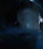 Filename=ELBR__2848429.jpg
Filesize=76KiB
Dimensions=1920x1080
Date added=Jan 21, 2015 ELBR__2848429.jpg