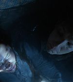 Filename=ELBR__2853729.jpg
Filesize=102KiB
Dimensions=1920x1080
Date added=Jan 21, 2015 ELBR__2853729.jpg