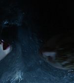 Filename=ELBR__2855429.jpg
Filesize=87KiB
Dimensions=1920x1080
Date added=Jan 21, 2015 ELBR__2855429.jpg