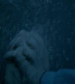 Filename=ELBR__2855529.jpg
Filesize=80KiB
Dimensions=1920x1080
Date added=Jan 21, 2015 ELBR__2855529.jpg