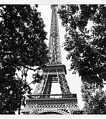 Filename=c0849d6abaf111e1ab011231381052c0_7.jpg
Filesize=172KiB
Dimensions=612x612
Date added=Nov 24, 2014 c0849d6abaf111e1ab011231381052c0_7.jpg