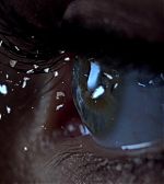 Filename=elbr_2860729.jpg
Filesize=106KiB
Dimensions=1920x1080
Date added=Jan 19, 2015 elbr_2860729.jpg