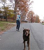 Filename=w1Ff8CJDILw.jpg
Filesize=81KiB
Dimensions=453x604
Date added=Nov 24, 2014 w1Ff8CJDILw.jpg